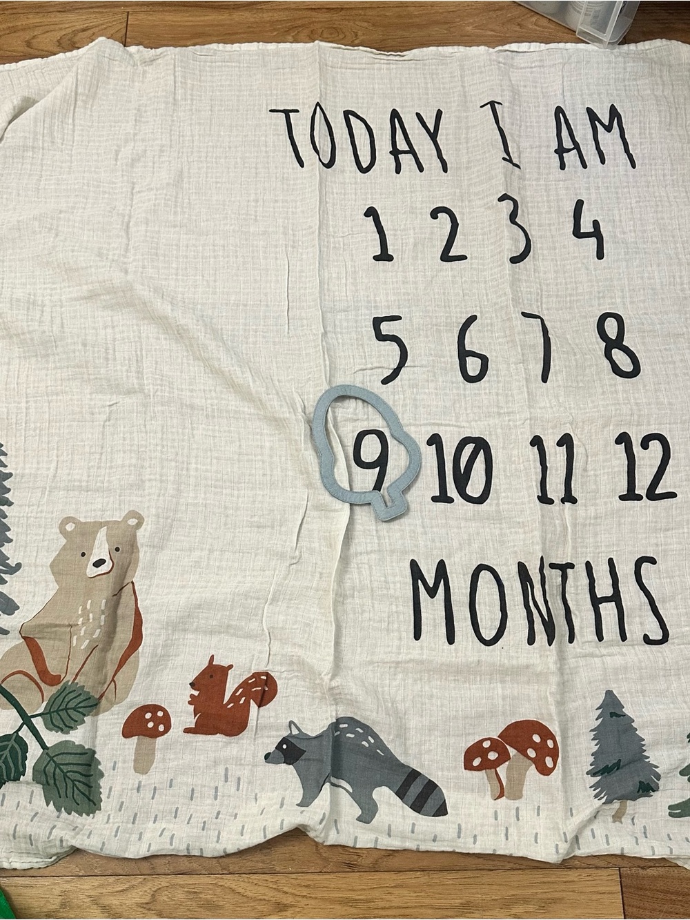 Baby Milestone Blanket "Today I Am" Woodland Forrest adventure Animals new